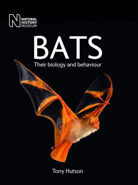 Bats