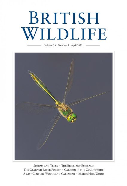 British Wildlife 33.5 April 2022