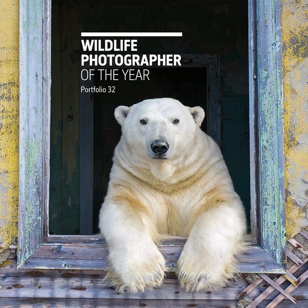 Wildlife Photographer of the Year, Portfolio 32