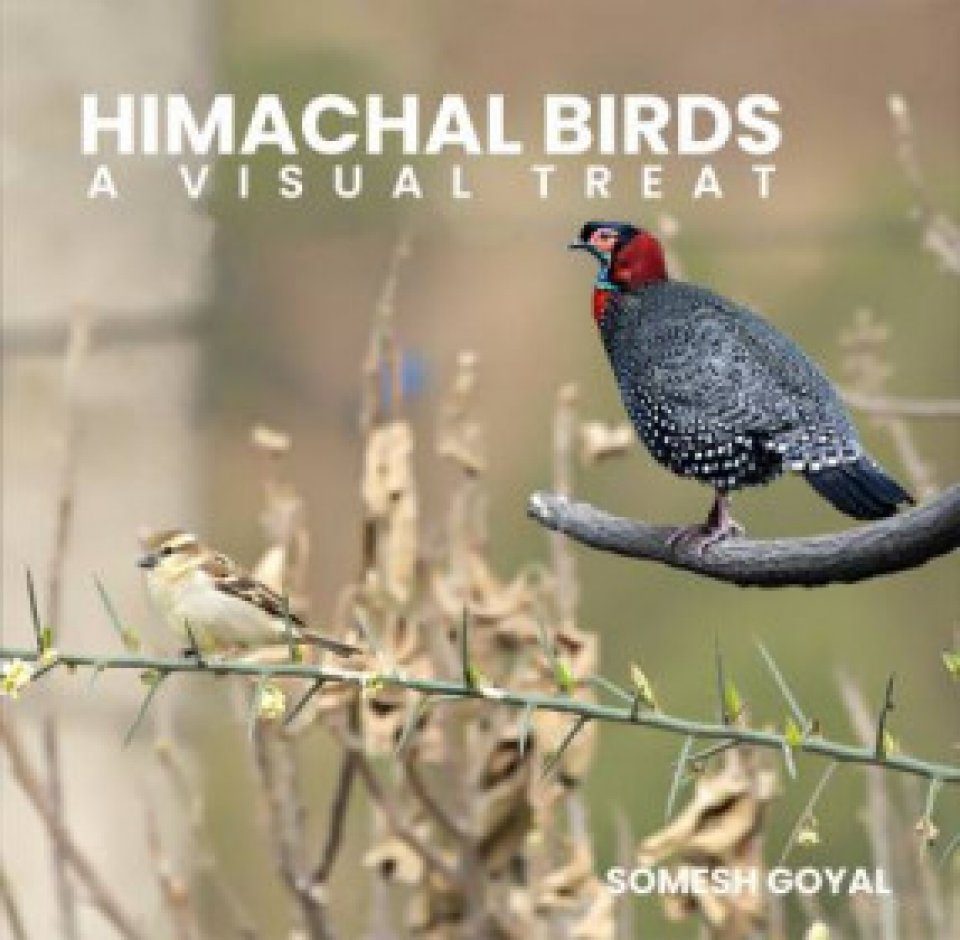 Himachal Birds: A Visual Treat | NHBS Field Guides & Natural History