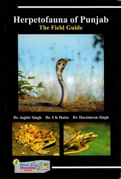Herpetofauna of Punjab