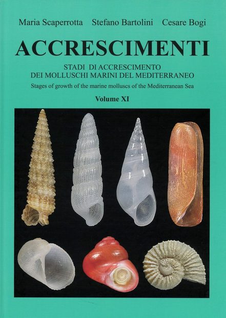 Accrescimenti, Volume 11 [English / Italian]