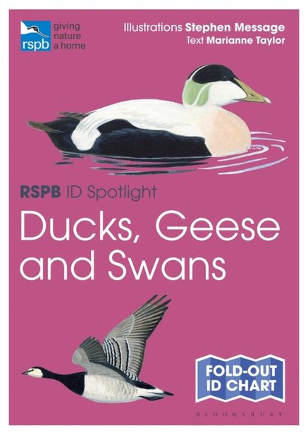 RSPB ID Spotlight: Ducks, Geese and Swans