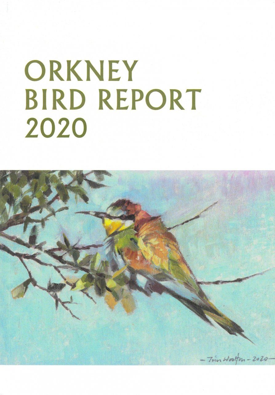 Orkney Bird Report 2020 | NHBS Field Guides & Natural History