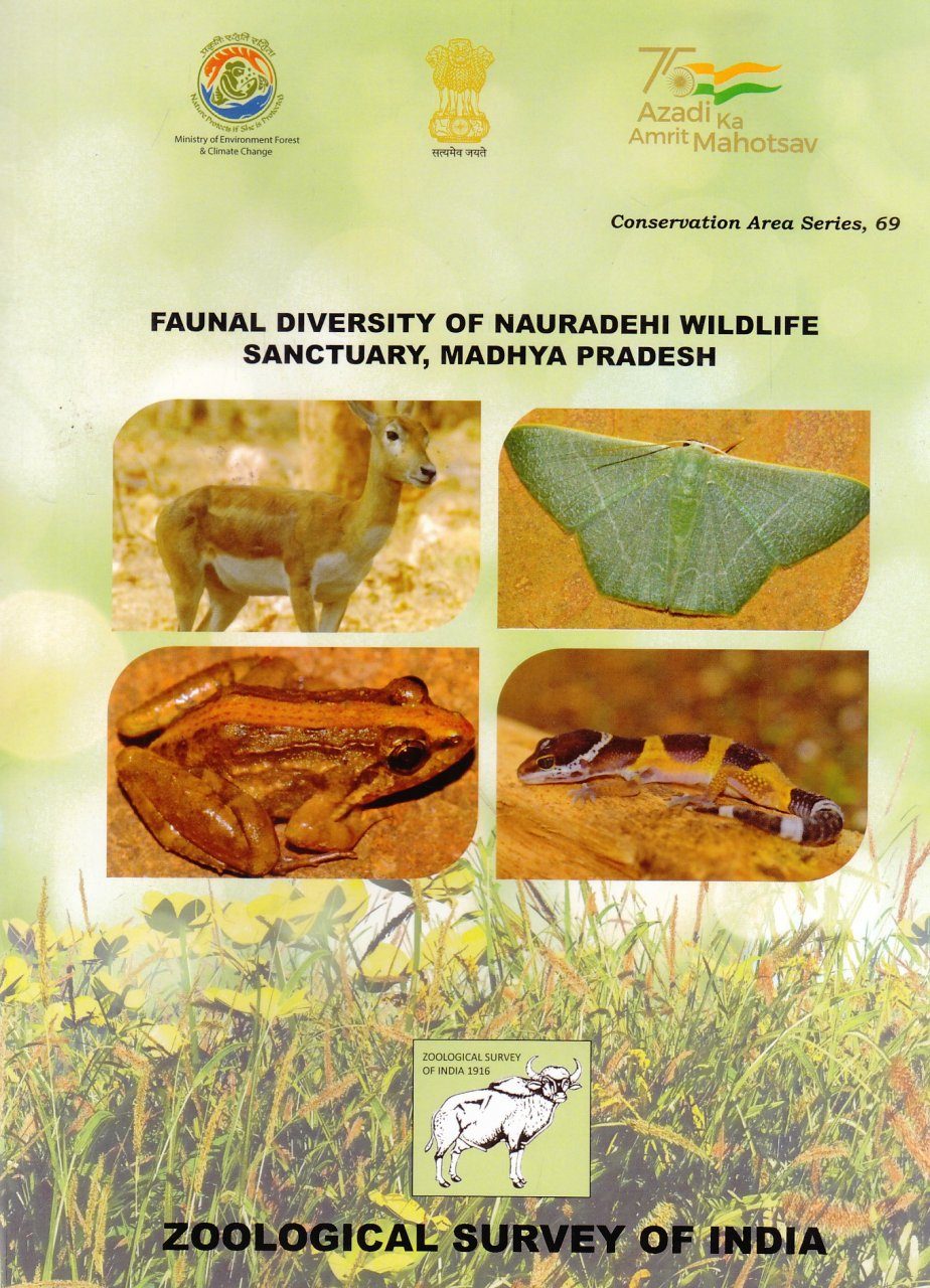 Faunal Diversity of Nauradehi Wildlife Sanctuary, Madhya Pradesh | NHBS  Academic & Professional Books