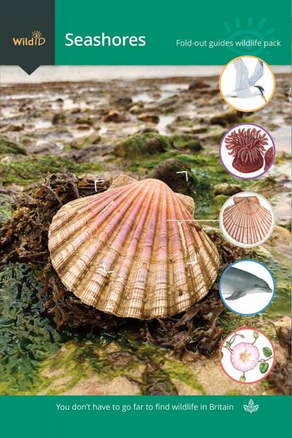 FSC Wildlife Pack: Seashores