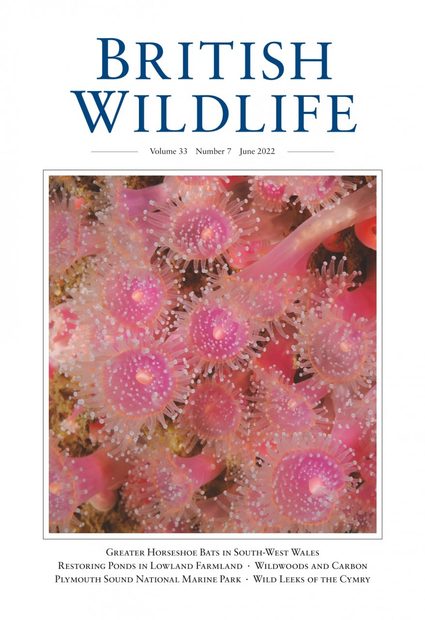 British Wildlife 33.7 June 2022