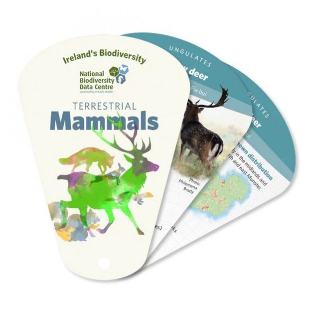 Ireland's Biodiversity: Terrestrial Mammals