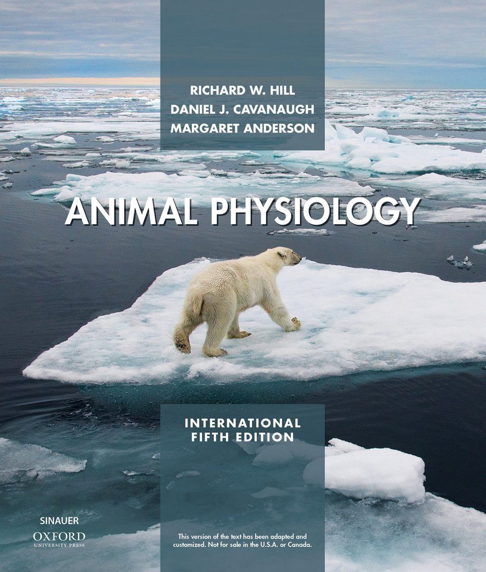 Animal Physiology (International Edition) | NHBS Academic & Professional  Books