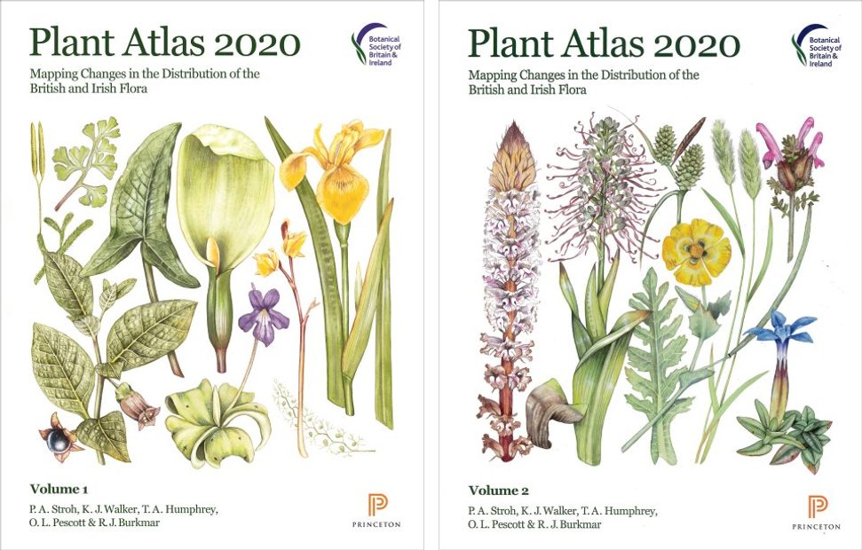 Plant Atlas 2020: Mapping Changes in the Distribution of the British and Irish Flora (2-Volume Set)