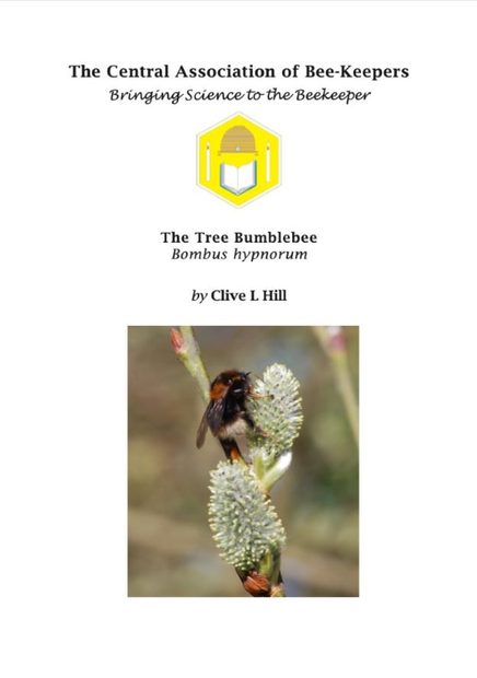 The Tree Bumblebee