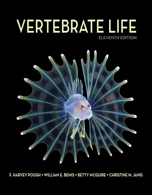 Vertebrate Life