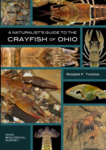 A Naturalist’s Guide to the Crayfish of Ohio