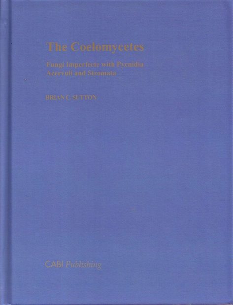 The Coelomycetes
