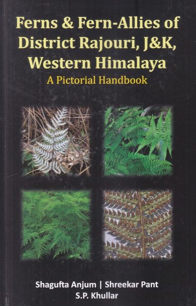 Ferns & Fern-Allies of District Rajouri, J&K, Western Himalaya
