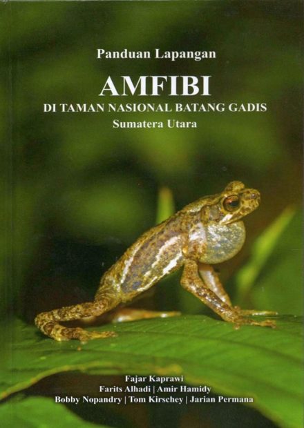 Amfibi di Taman National Batang Gadis, Sumatera Utara [Amphibians of the Batang Gadis National Park, Province North Sumatra]