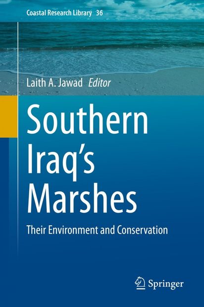 Southern Iraq's Marshes