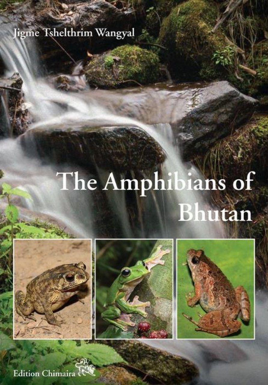 The Amphibians of Bhutan | NHBS Field Guides & Natural History