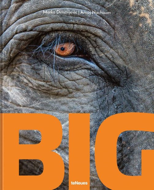 Big: A Photographic Album of the World's Largest Animals [English / German]