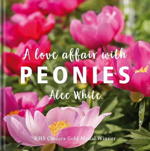 A Love Affair with Peonies