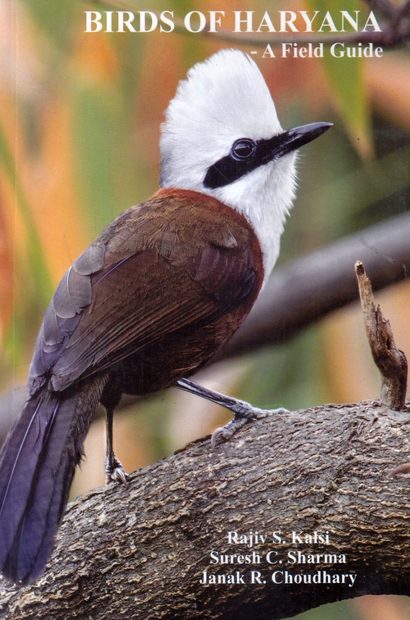 Birds of Haryana