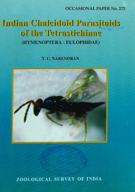 Indian Chalcidoid Parasitoids of the Tetrastichinae (Hymenoptera: Eulophidae)