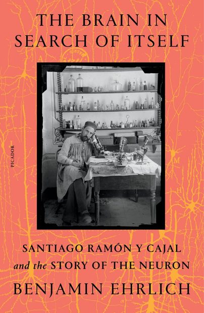 The Brain in Search of Itself