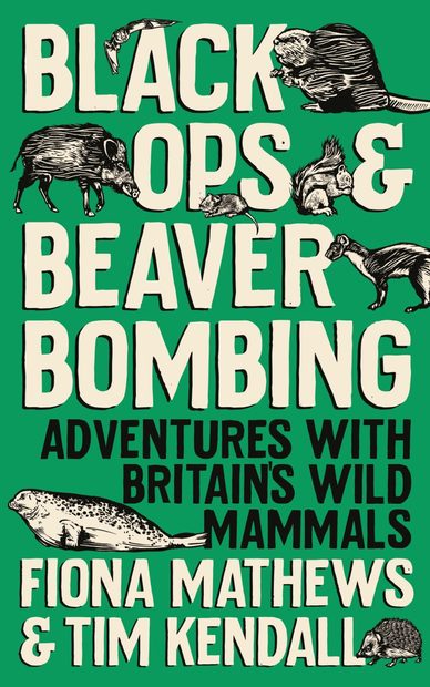 Black Ops & Beaver Bombing