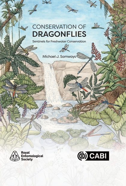 Conservation of Dragonflies