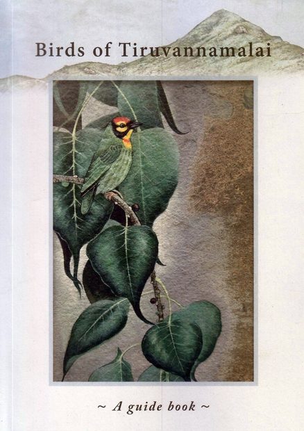 Birds of Tiruvannamalai