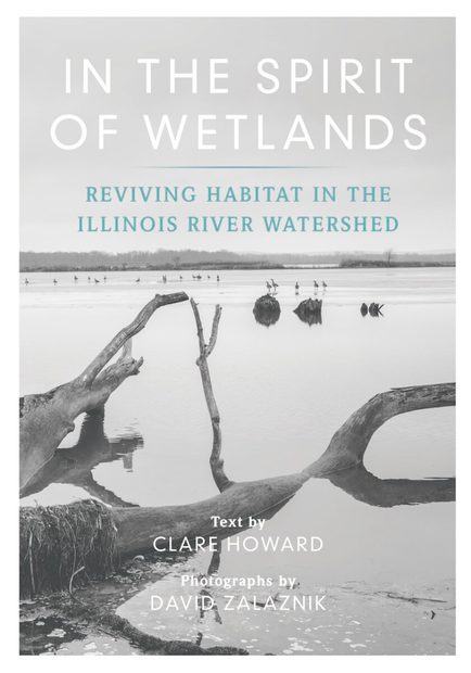 In the Spirit of Wetlands