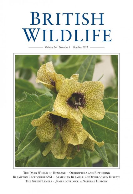 British Wildlife 34.1 October 2022