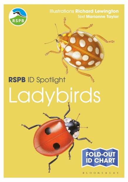RSPB ID Spotlight: Ladybirds