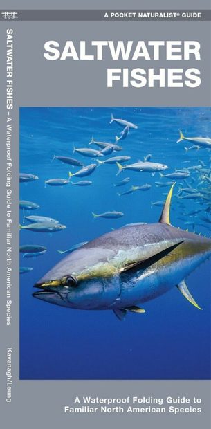 Saltwater Fishes