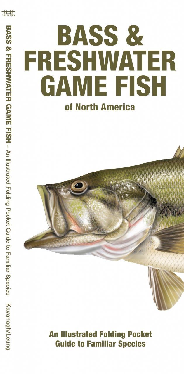 Gamefish Poster, Freshwater Bass Identification Chart
