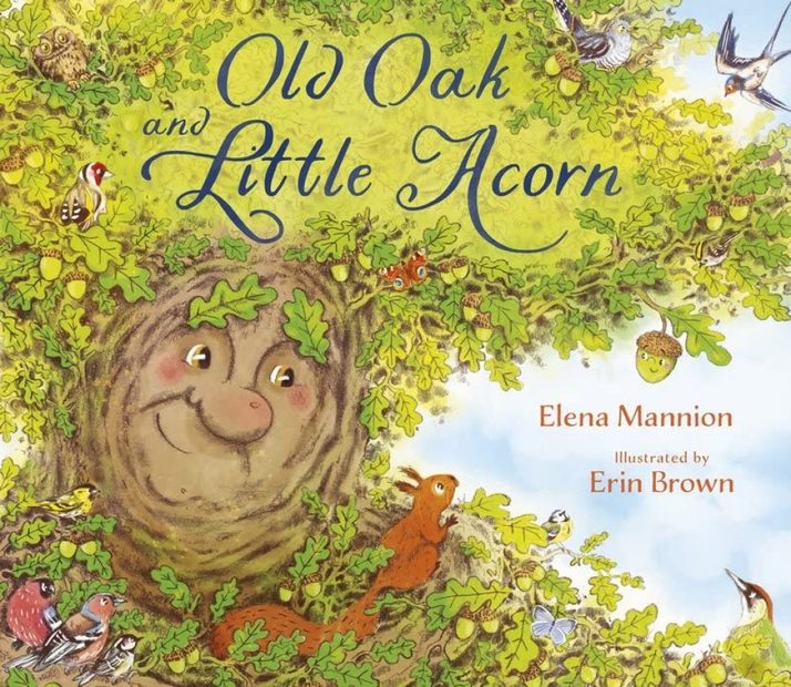 Old Oak and Little Acorn | NHBS Bookstore