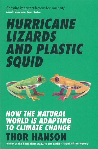Hurricane Lizards and Plastic Squid