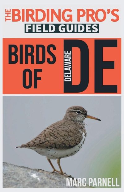 Birds of Delaware | NHBS Field Guides & Natural History
