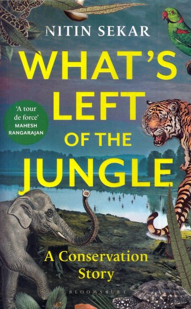 What's Left of the Jungle