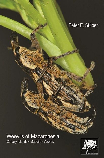 Weevils of Macaronesia