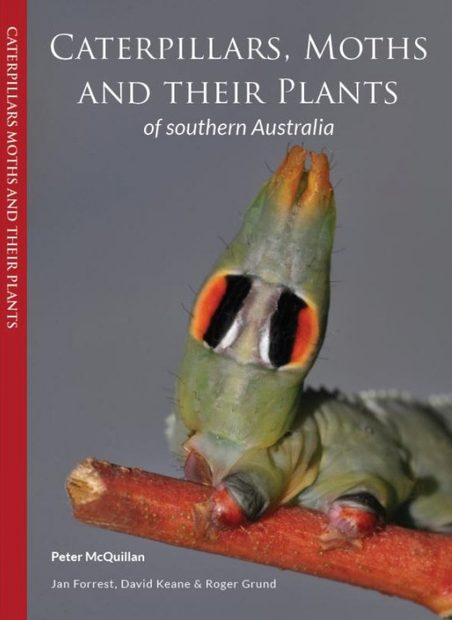 Caterpillars, Moths and Their Plants of Southern Australia