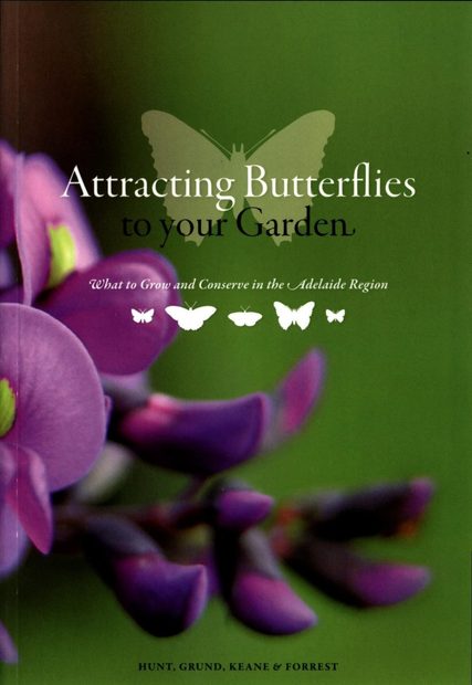 Attracting Butterflies to Your Garden