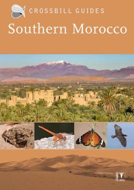 Crossbill Guide: Southern Morocco