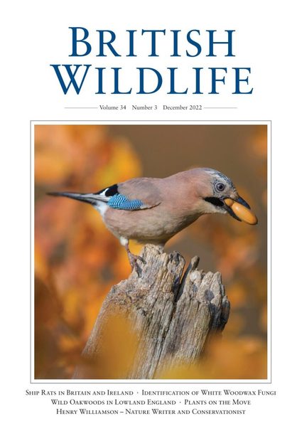 British Wildlife 34.3 December 2022