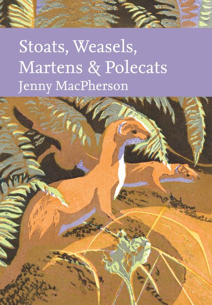 Stoats, Weasels, Martens & Polecats