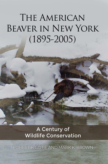 The American Beaver in New York (1895-2005)