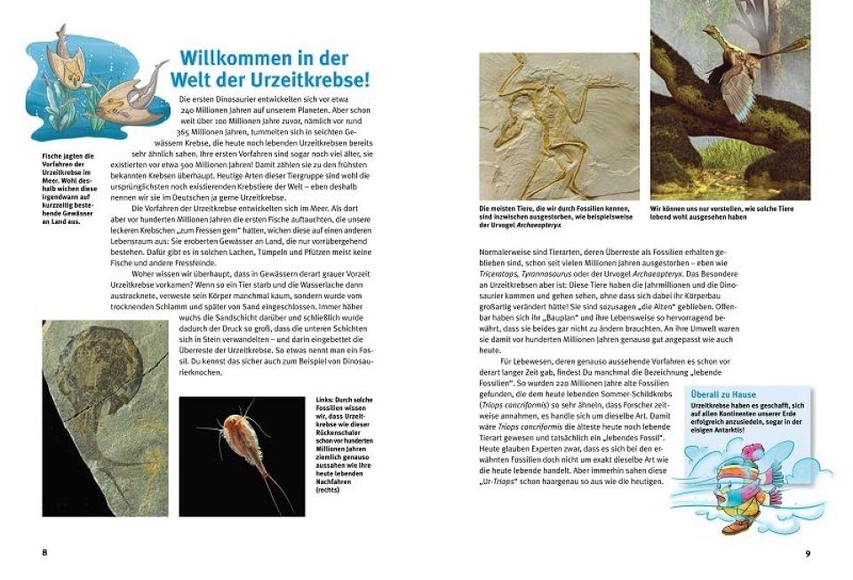 Entdecke die Urzeitkrebse: Triops, Feenkrebse & Co [Discover the Tadpole  Shrimps: Triops, Fairy Shrimps & Co.] | NHBS Academic & Professional Books
