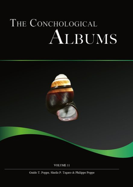 The Conchological Albums – Terrestrial Molluscs, Volume 11
