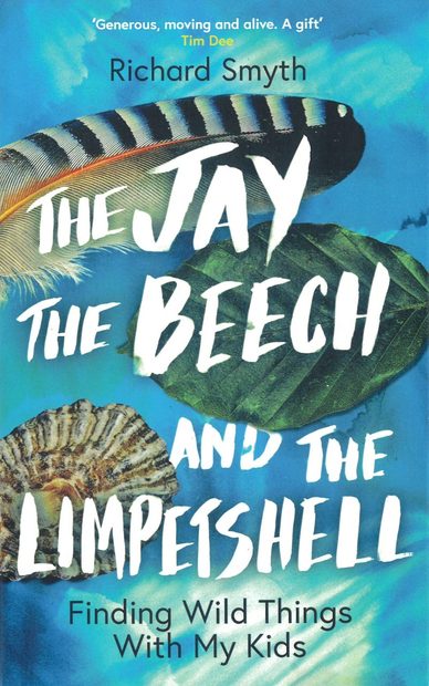 The Jay, The Beech and the Limpetshell