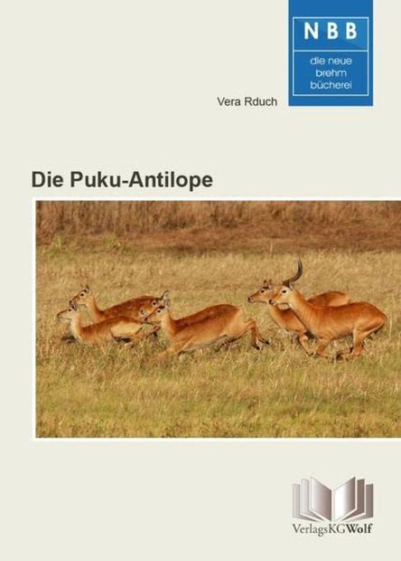 Die Puku-Antilope [The Puku Antelope]